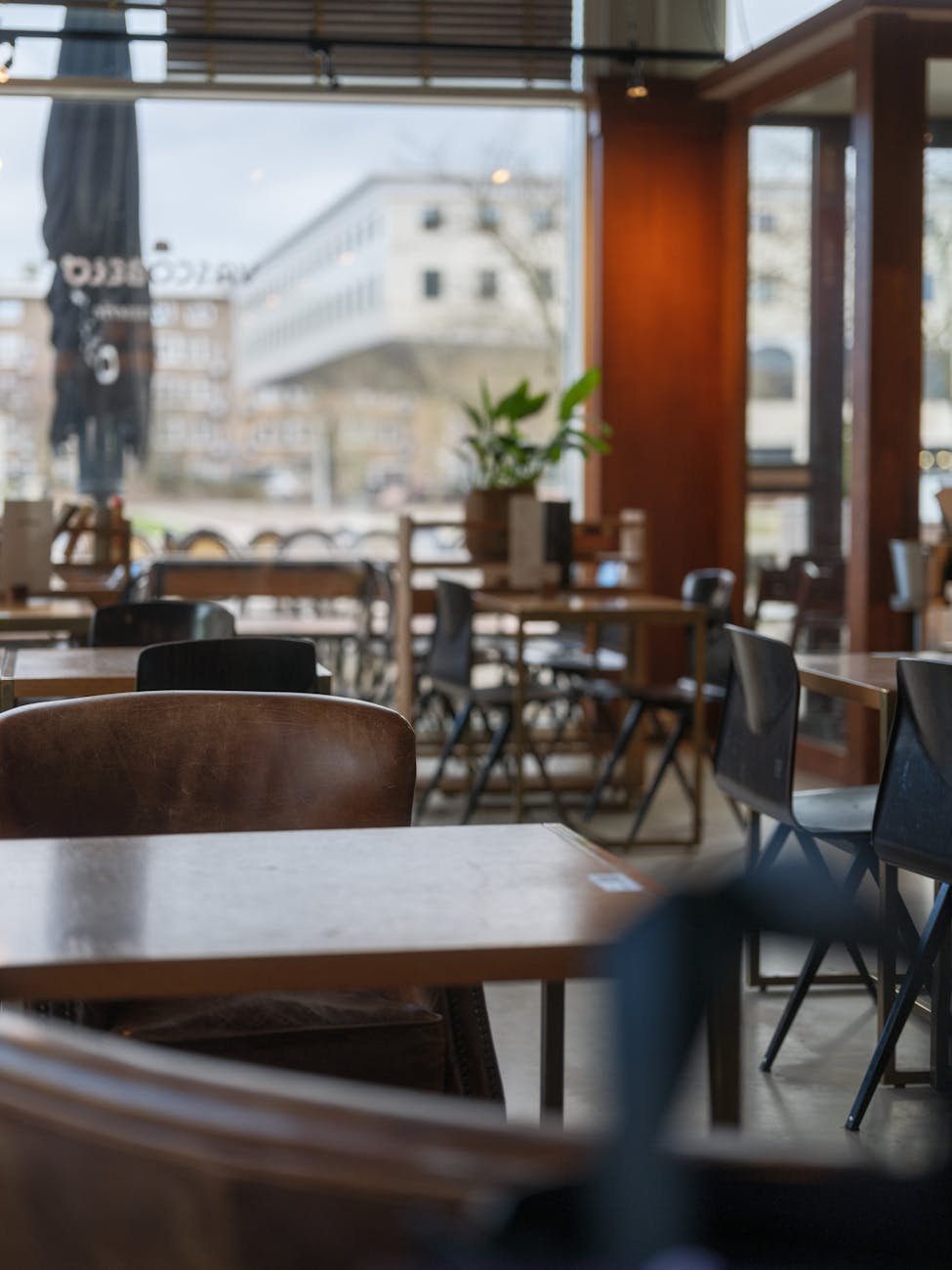 A traditional Amsterdam brown cafe (bruin cafe) radiating gezelligheid, the Dutch concept of cozy togetherness