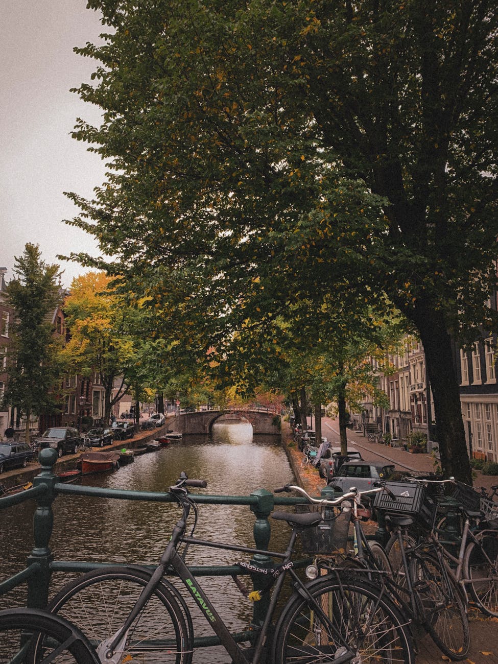 Cycling along Amsterdam's canal bridges, the fastest and most enjoyable way to explore the city