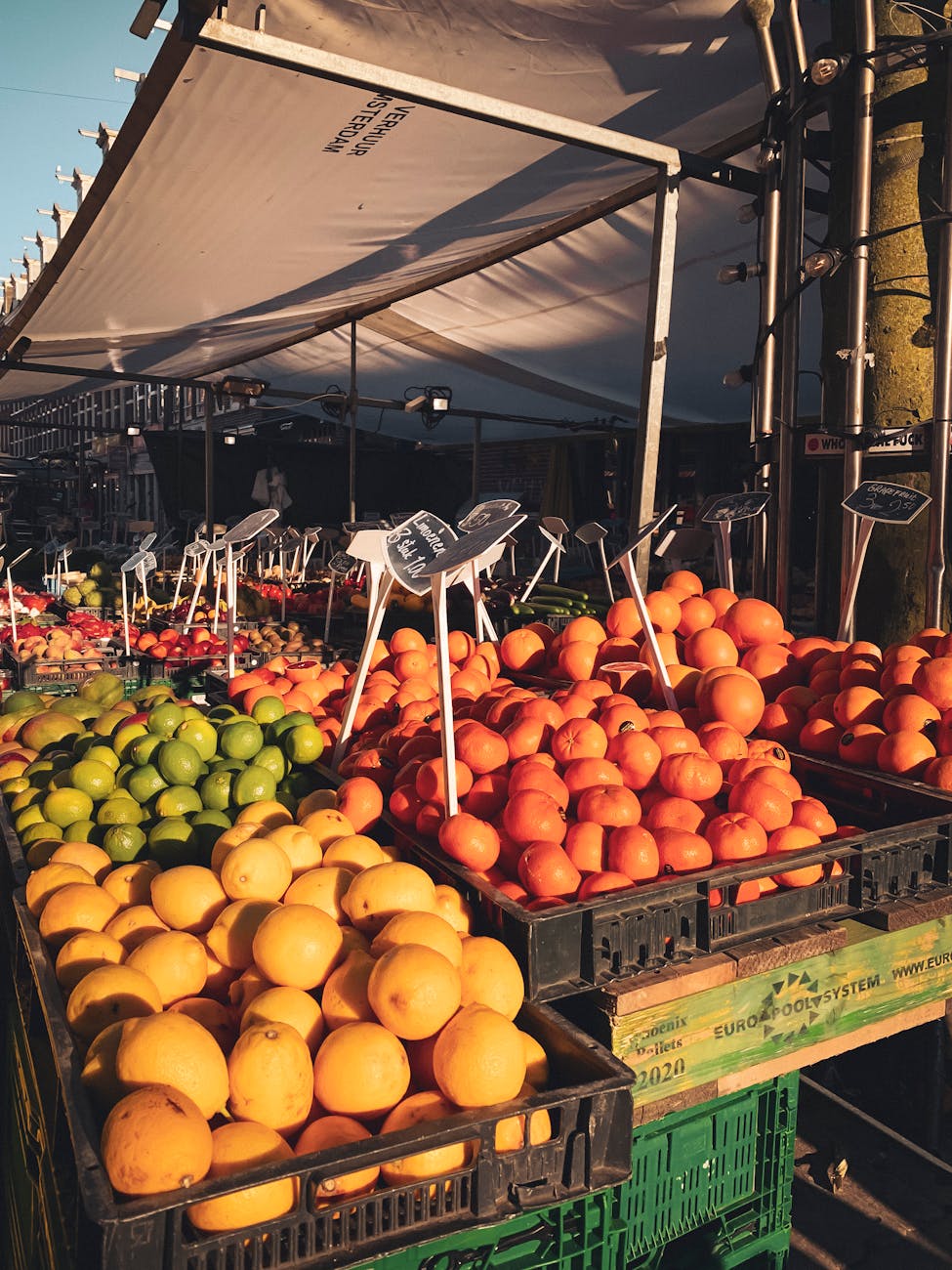 A bustling Amsterdam food market offering diverse street food from around the world