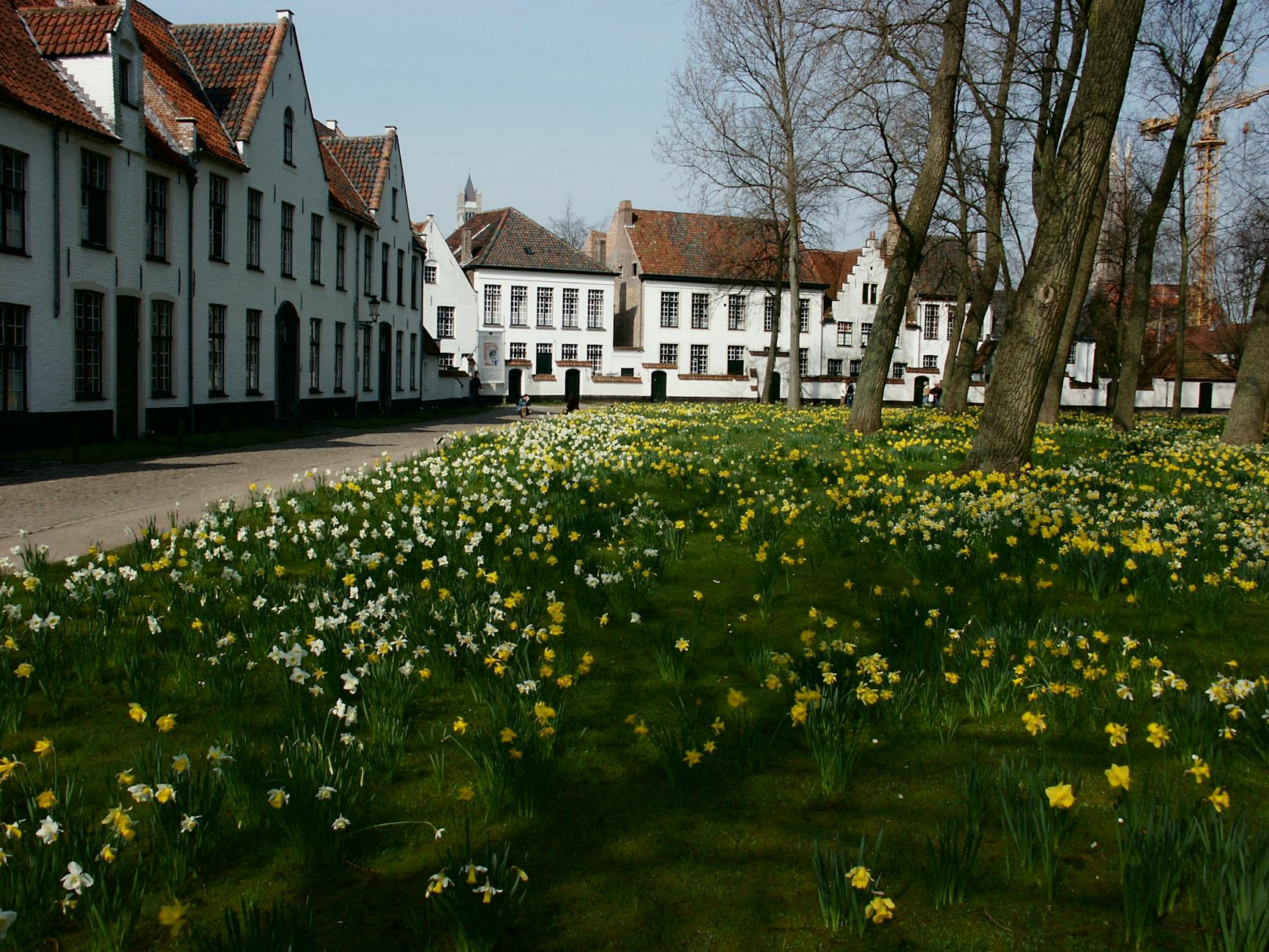 The Begijnhof courtyard in Amsterdam with historic houses