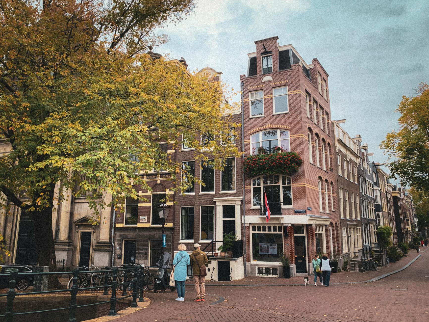 Amsterdam Oost (East), an up-and-coming neighborhood with parks and diverse dining, a great affordable option for where to stay in Amsterdam