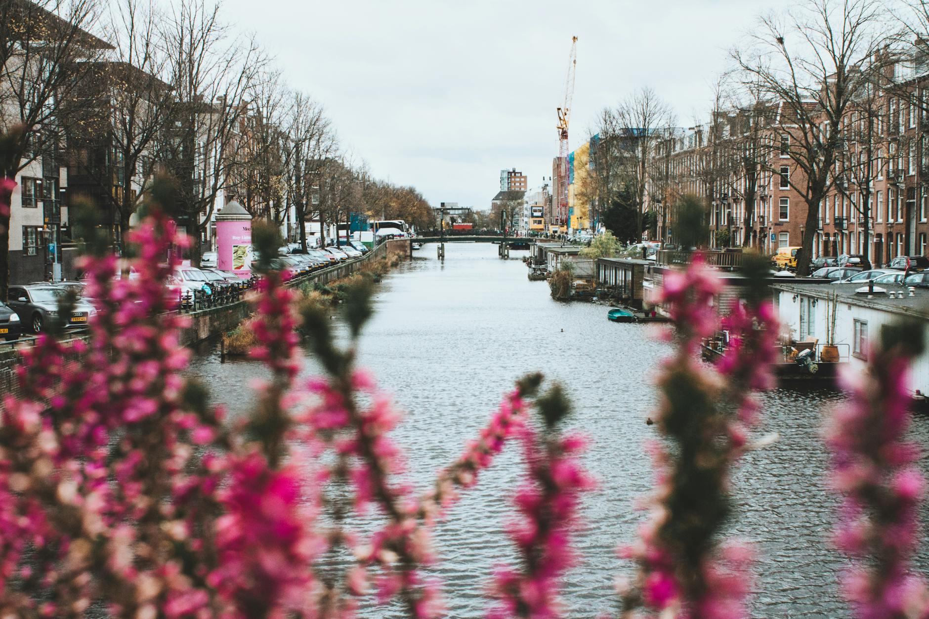 Seasonal Amsterdam guide - canals through the seasons