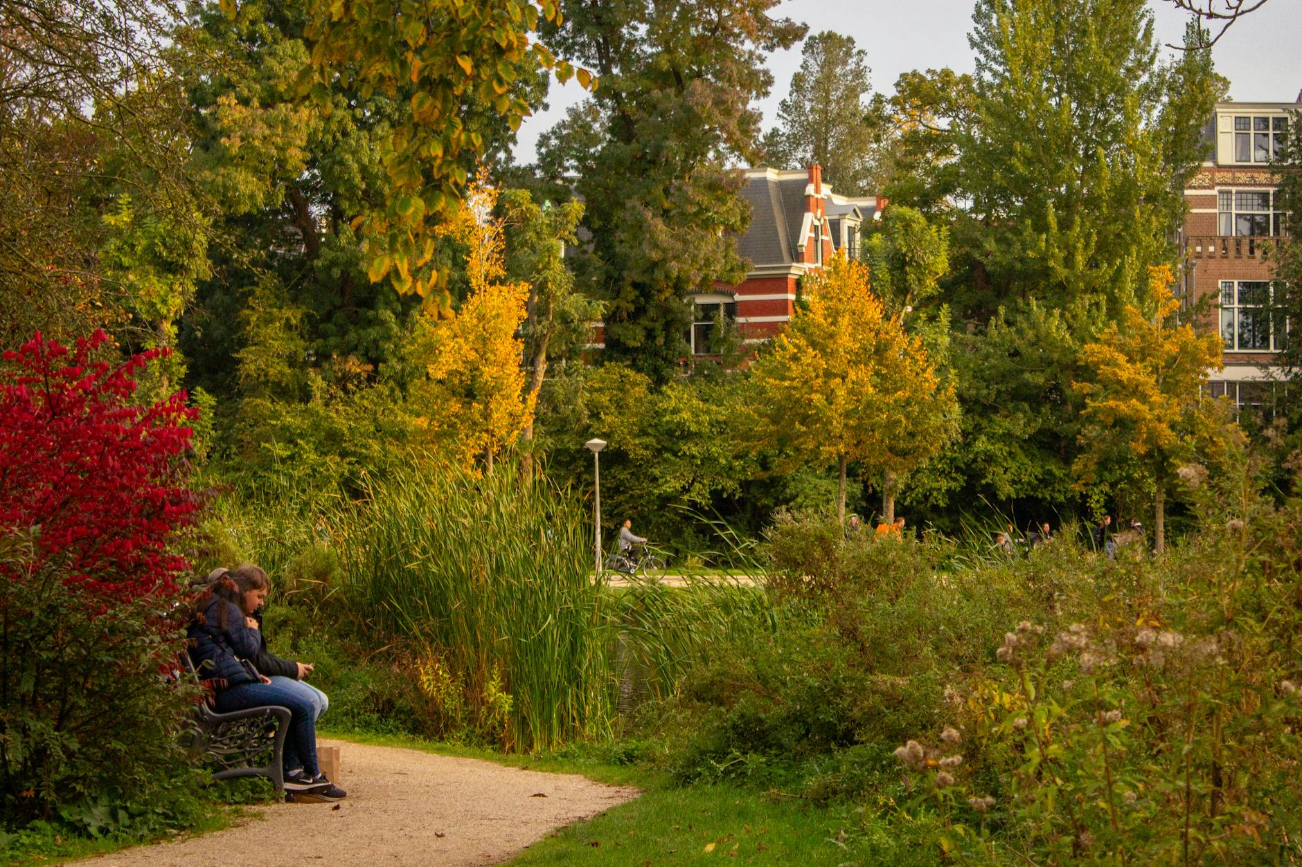 Vondelpark, Amsterdam's beloved urban park offering free outdoor concerts, playgrounds, and peaceful green spaces in the heart of the city
