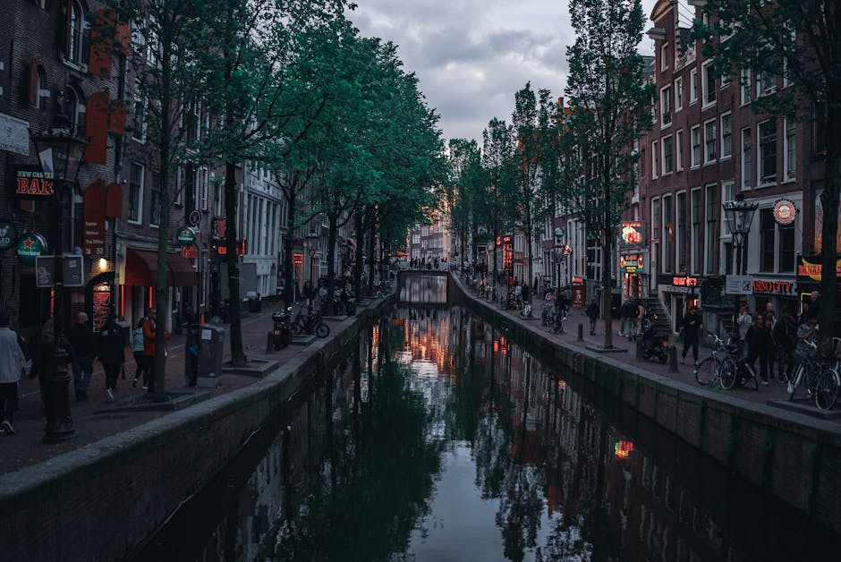 Amsterdam evening dinner canal restaurant