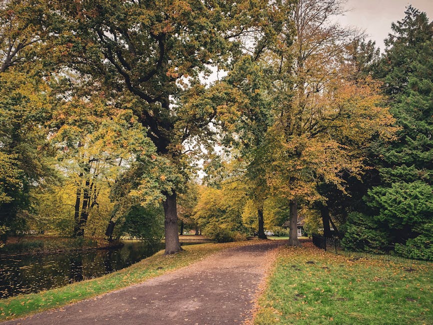 Amsterdam Vondelpark autumn fall leaves orange