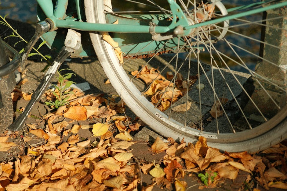 Amsterdam fall foliage Keizersgracht canal