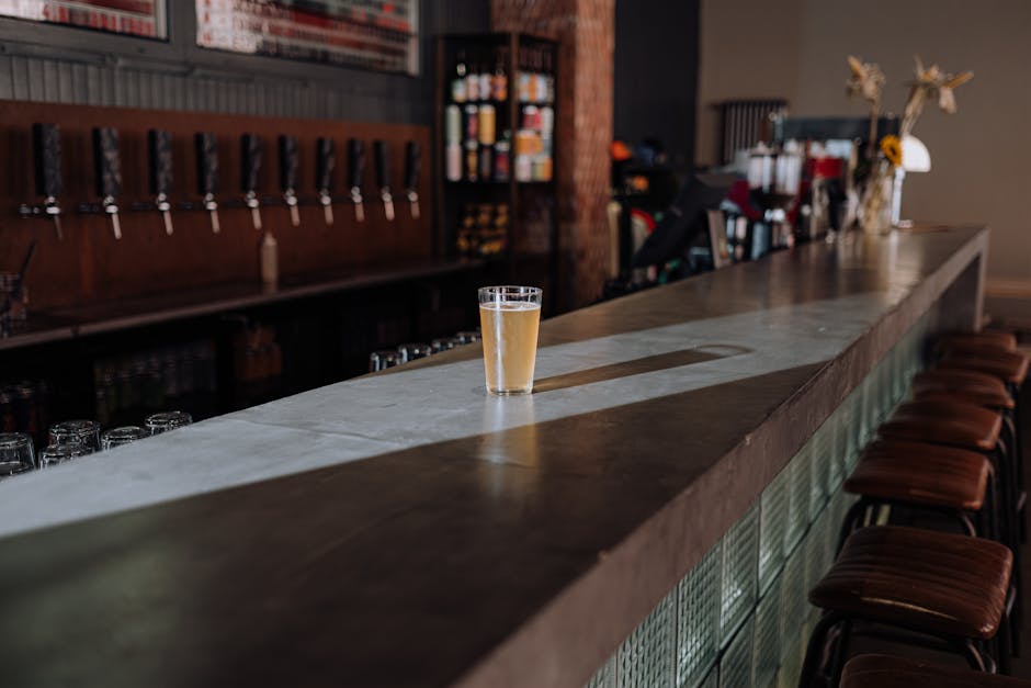 Friends raising glasses of beer together in a bar