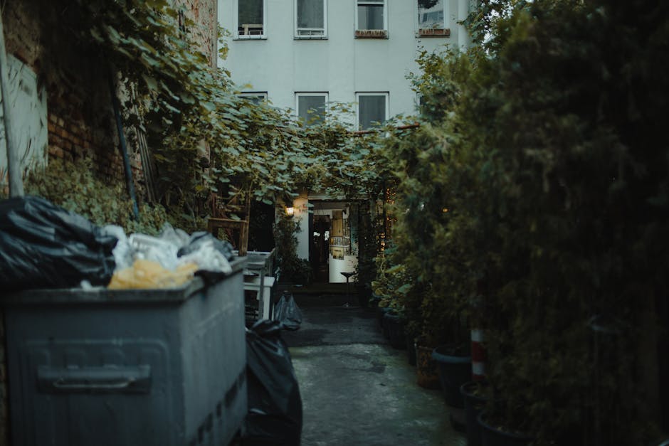 Amsterdam hidden hofje courtyard secret peaceful