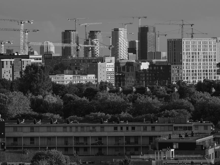 Amsterdam Noord cycling industrial cool