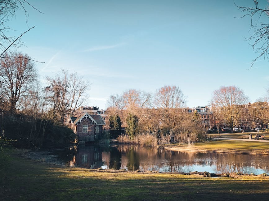 Amsterdam park bicycle paths riding leisure