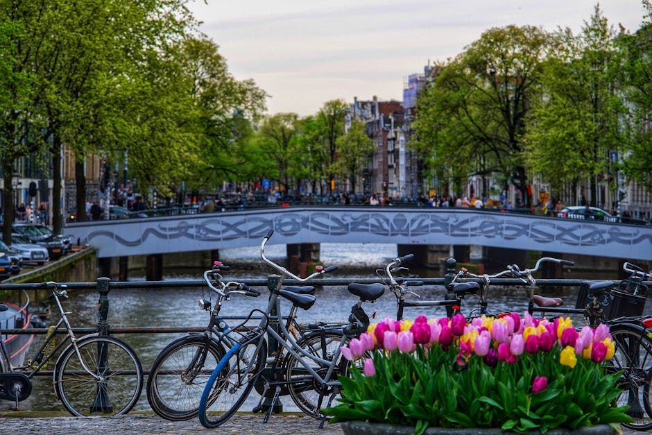 Amsterdam canal in spring with tulips and blooming trees