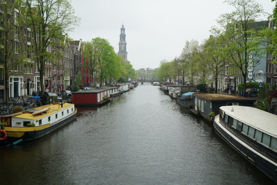 Tulips along Amsterdam canal bridge spring