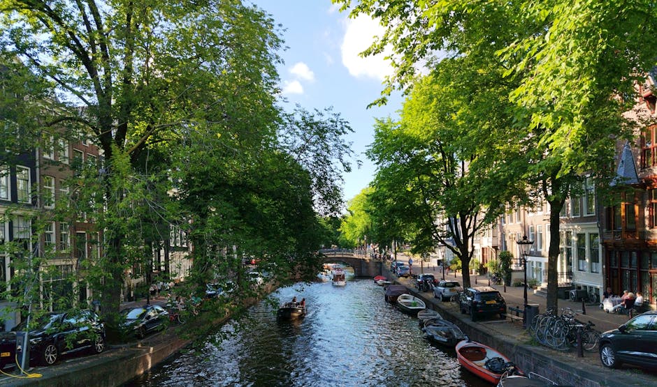 Amsterdam spring tulips flowers canal warm