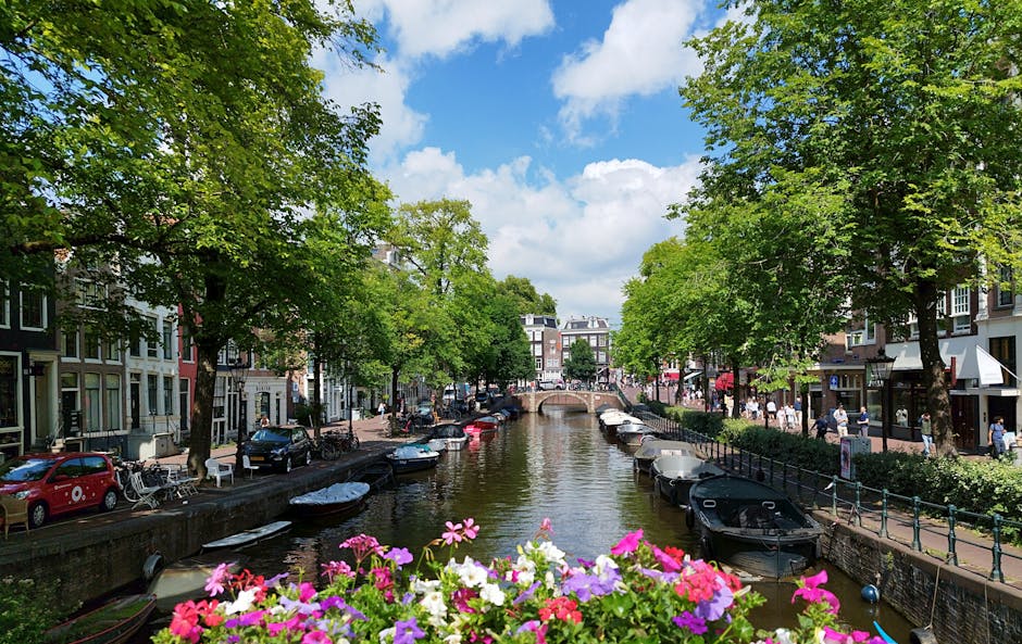 Amsterdam autumn canal yellow leaves tree