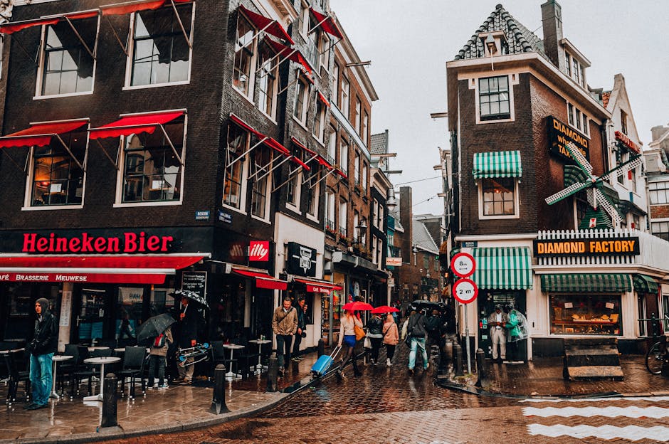 Amsterdam canal rainy day umbrella tourist
