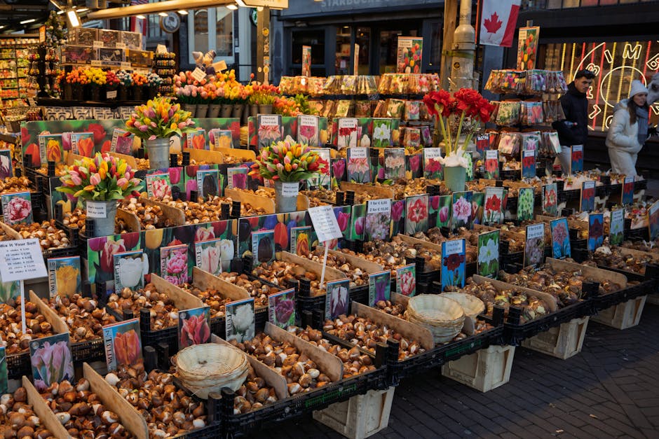 Bloemenmarkt floating flower market Amsterdam Singel