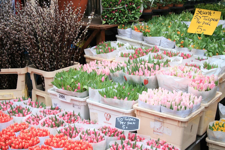 Wooden tulip souvenir market amsterdam
