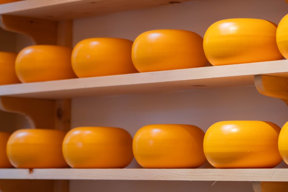 Dutch cheese wheel gouda yellow stacked