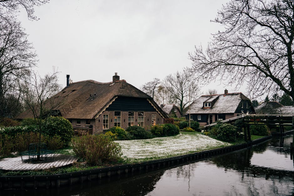 Netherlands countryside lake water reflection green