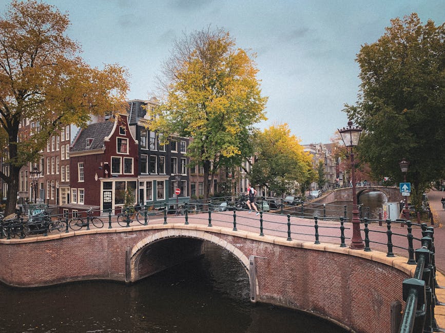 Boutique shops and ivy-covered houses on Jordaan street Amsterdam