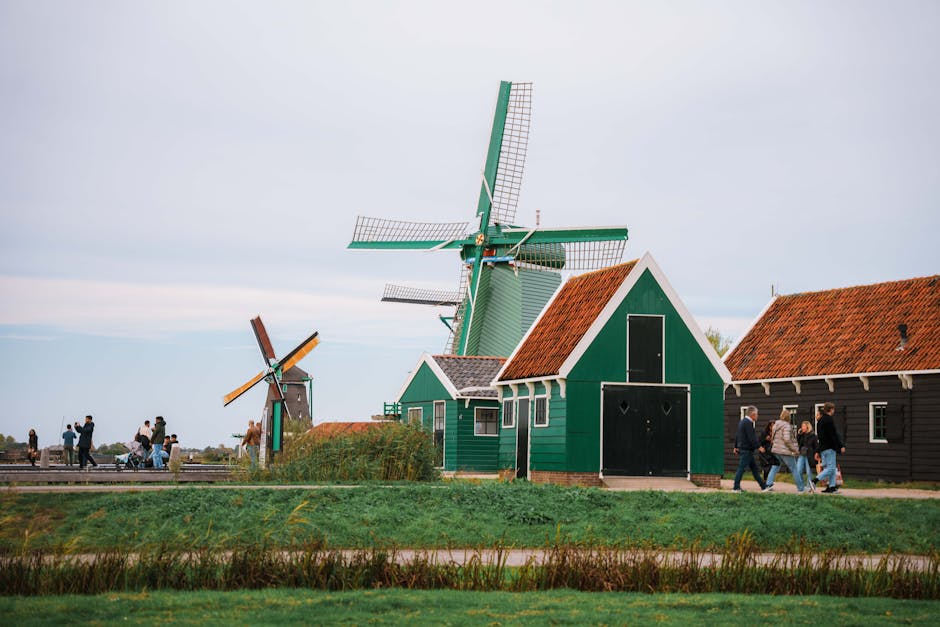 Cheese farm display Zaanse Schans