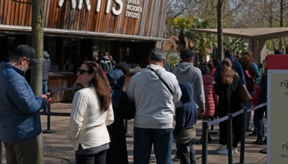 Artis Royal Zoo & Micropia: Full Visitor Guide