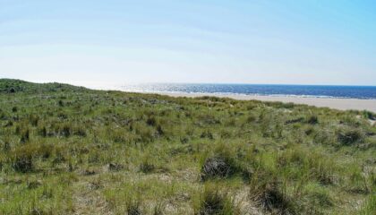 Texel & the Wadden Islands: Beaches, Birds & Ferries
