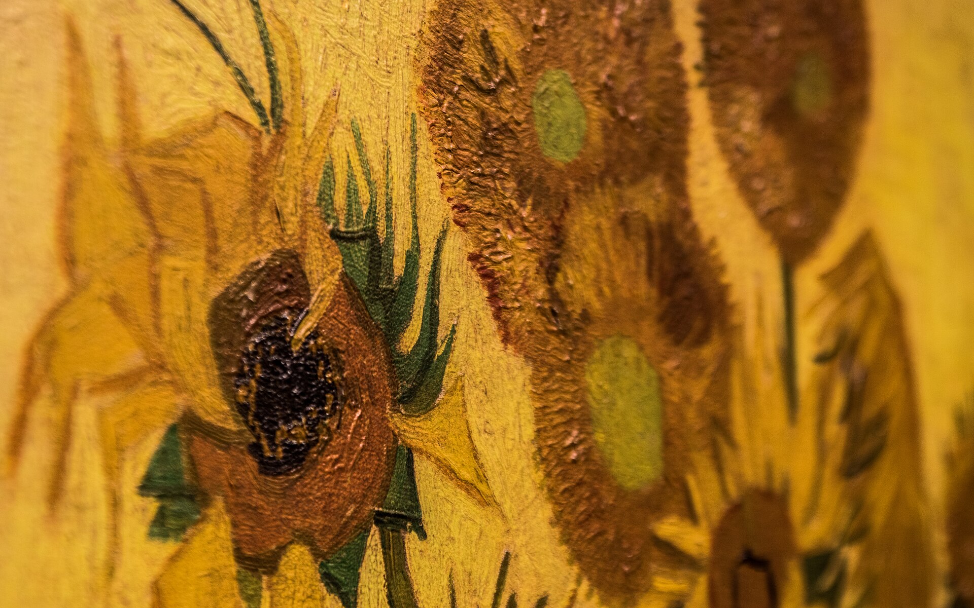 Raised brushstrokes form brown sunflower centres and green stems in a close view of Sunflowers at Amsterdam’s Van Gogh Museum.