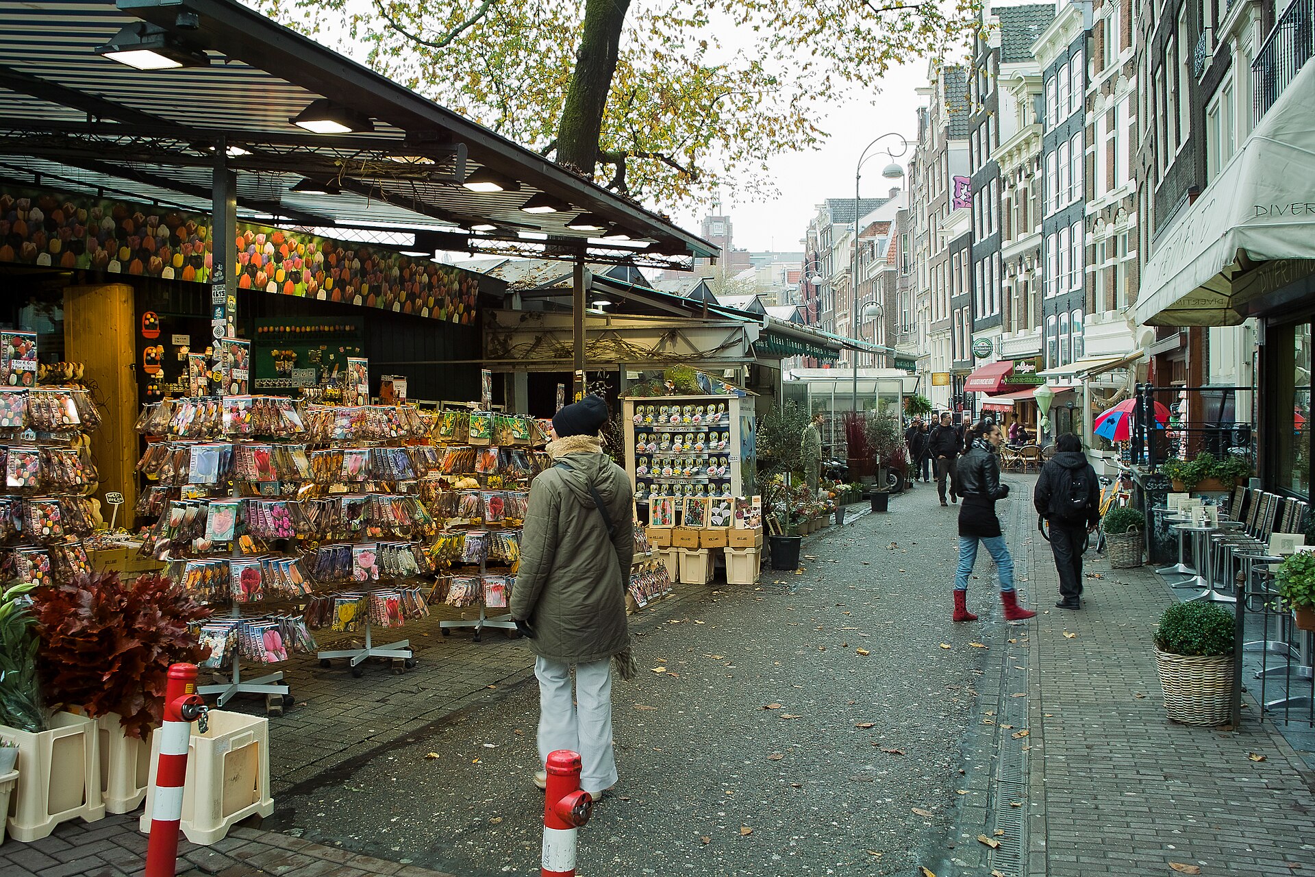 Rows of colourful tulip bulb packets hang outside a Bloemenmarkt stall in Amsterdam as pedestrians pass along the lane.